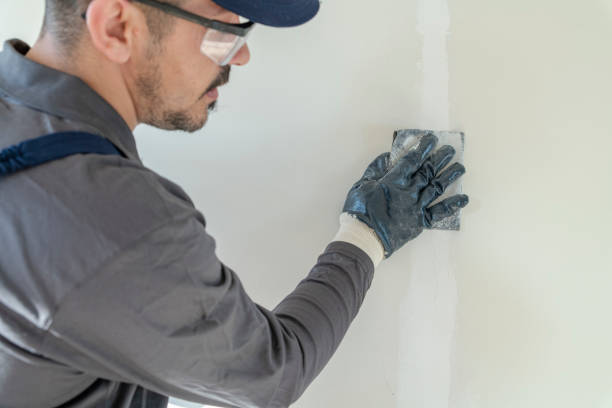 Best Attic Mold Removal  in Winslow, AZ