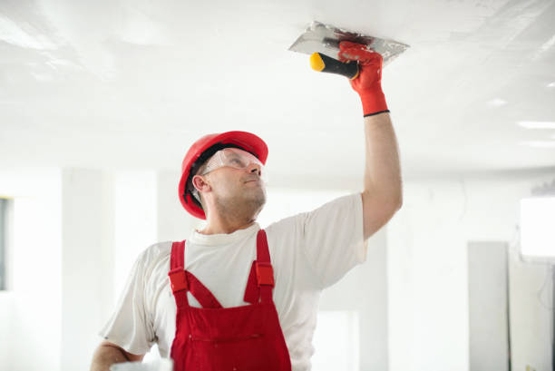 Forensic Mold Investigation in Winslow, AZ