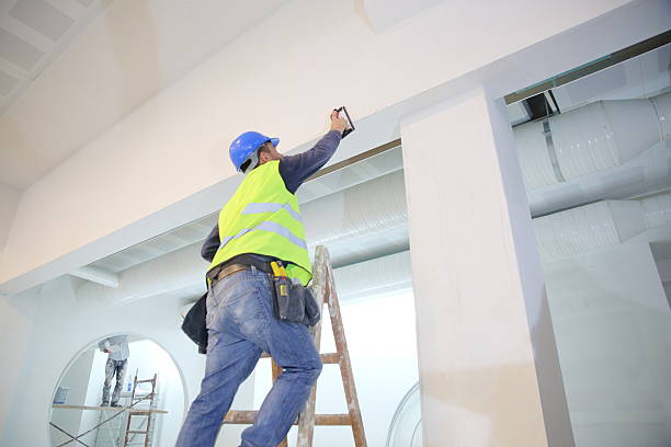 Best Real Estate Mold Inspection  in Winslow, AZ