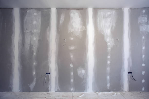 Best Airborne Mold Testing  in Winslow, AZ